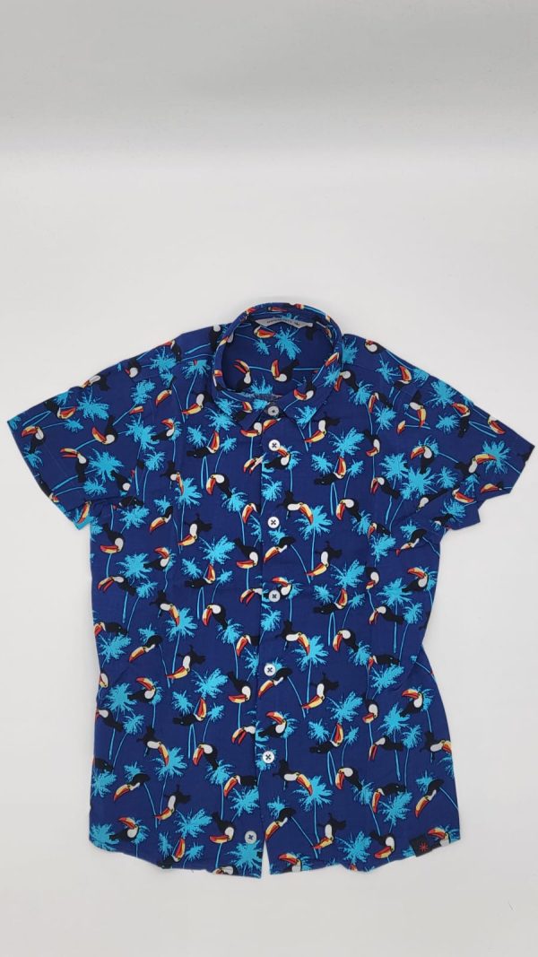 Camicia