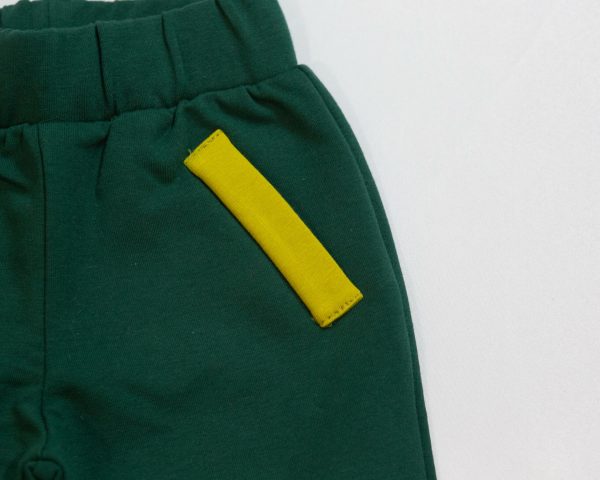 4D__0068 PANTALONE TEMA DINOSAURO HANGAR93